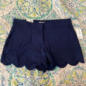 Size 10 Crown and Ivy Shelby Short
